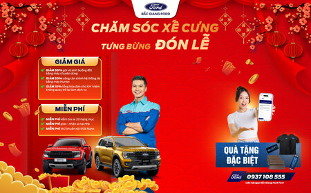 CHĂM SÓC XẾ CƯNG - TƯNG BỪNG ĐÓN LỄ